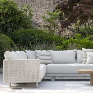 Borek - Volterra Collection