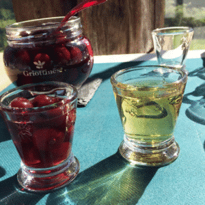 La Rochere Bee Shot Glass 6cl