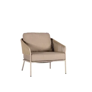 Y1411 C22 423AW Forio Chair Collection